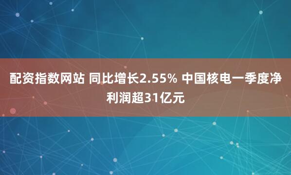 配资指数网站 同比增长2.55% 中国核电一季度净利润超31亿元