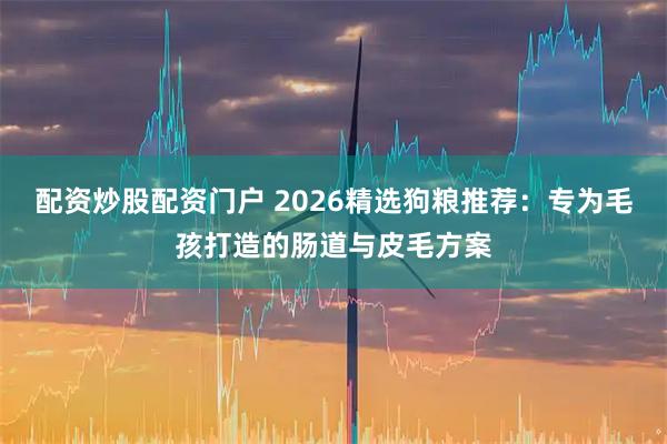 配资炒股配资门户 2026精选狗粮推荐：专为毛孩打造的肠道与皮毛方案